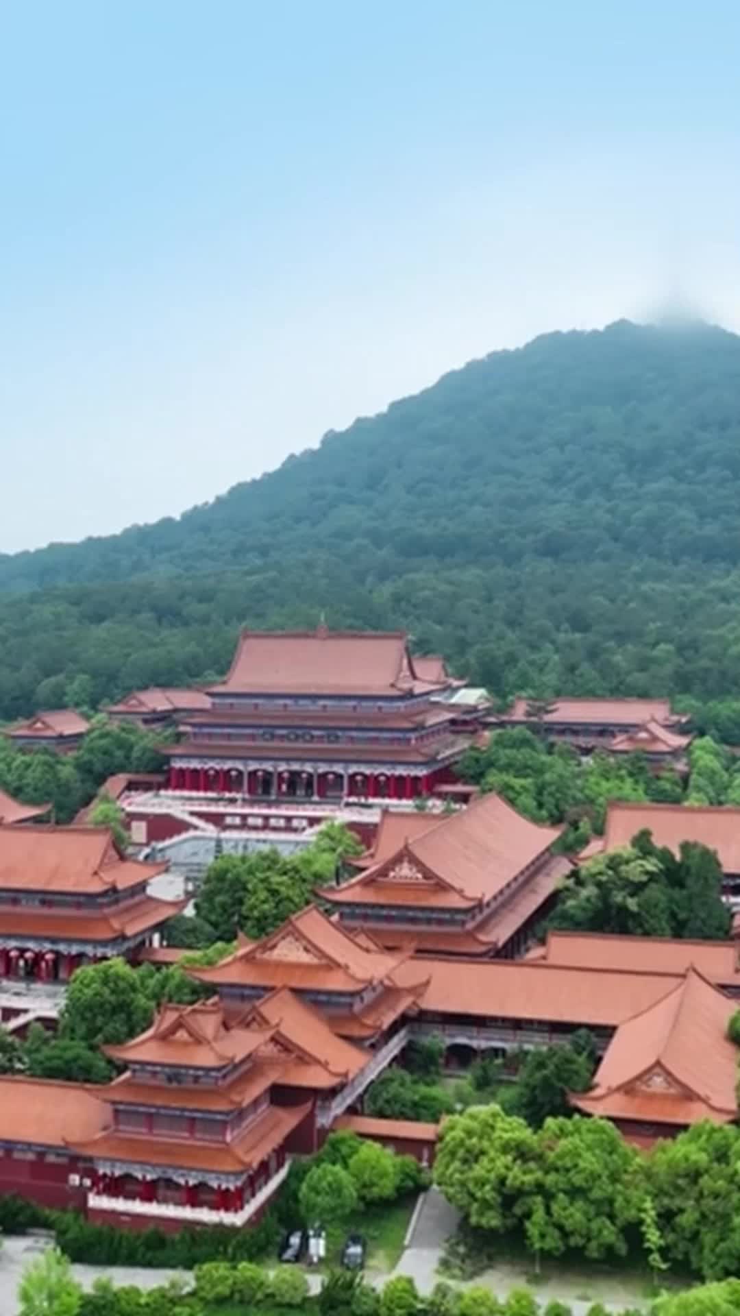 Episode 1 - I'm a Terrible King—Please Rebel